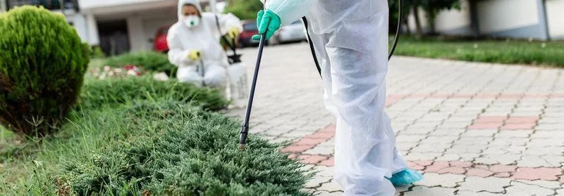 Opryski przeciw komarom i kleszczom