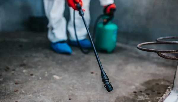 Zwierzę Ci&nbsp;się. Dezynfekcja po&nbsp;zwierzętach