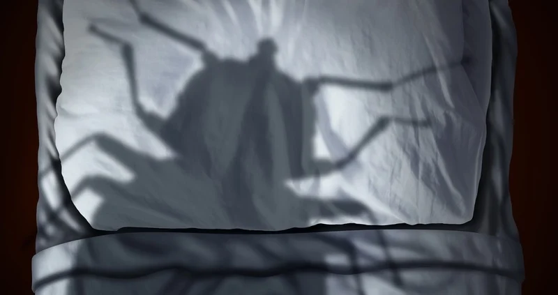 Pluskwy – tabu, które może dotyczyć każdego (Cz.&nbsp;II)