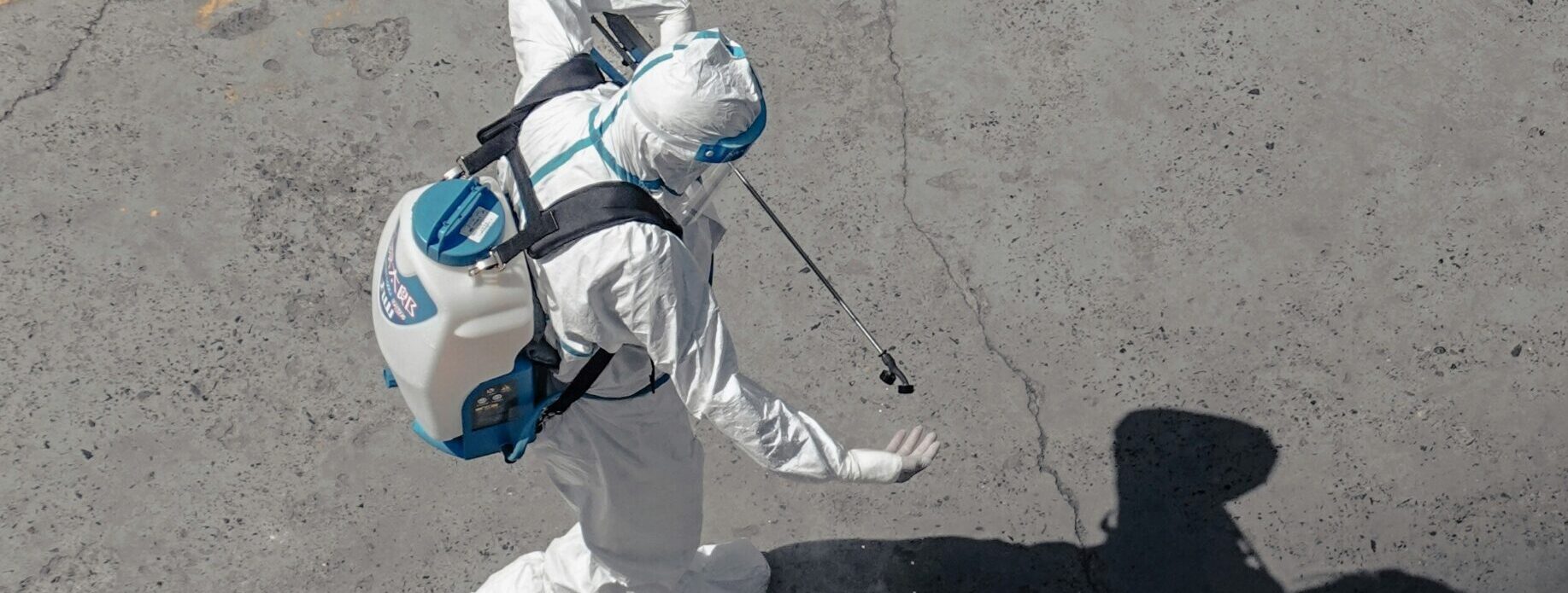 Najczęściej spotykane insekty w&nbsp;mieszkaniach i&nbsp;sposoby ich zwalczania