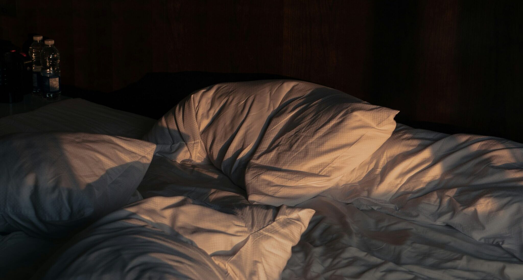 Jak pluskwy trafiają do&nbsp;Twojego&nbsp;domu? Najczęstsze źródła sprowadzenia insektów do&nbsp;domu