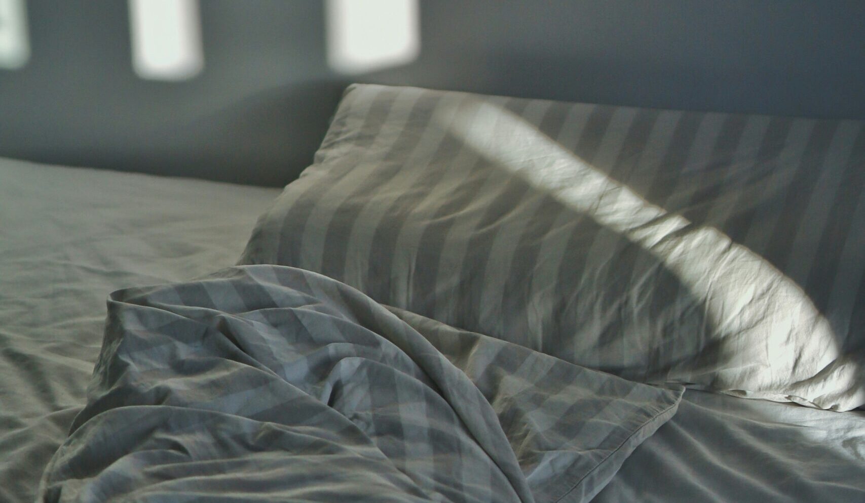 Biologia i&nbsp;zachowanie pluskiew – jak poznać wroga?