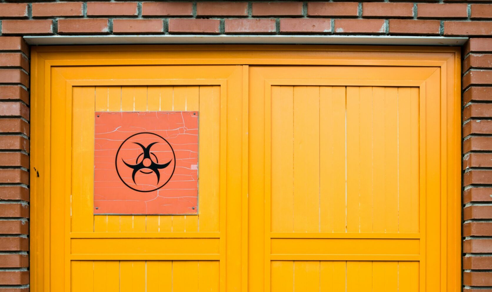 Trupi jad – zagrożenia i&nbsp;metody neutralizacji w&nbsp;sprzątaniu po&nbsp;zgonie