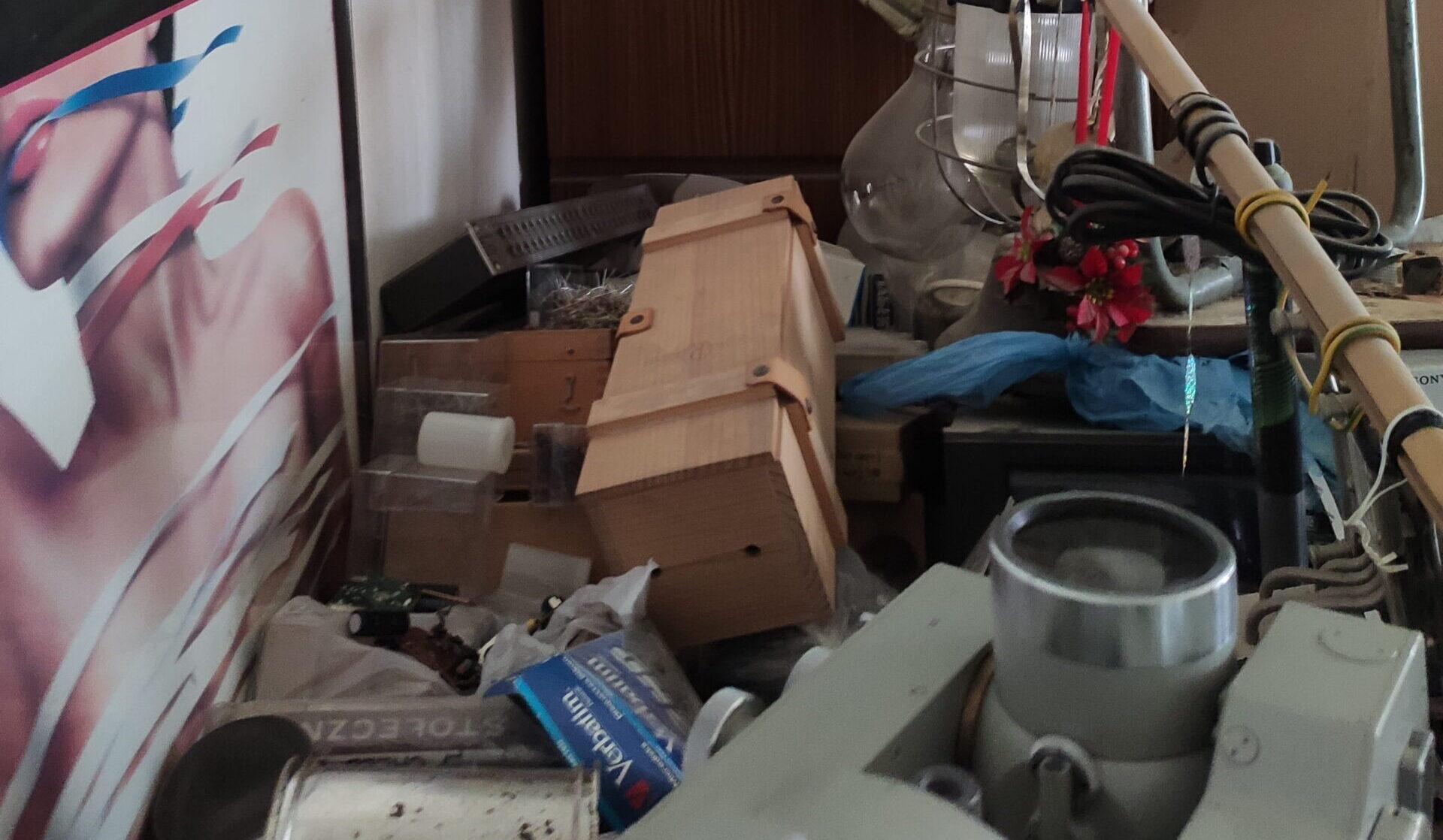 Jakie są&nbsp;zagrożenia dla zdrowia i&nbsp;bezpieczeństwa wynikające z&nbsp;zaniedbania sprzątania mieszkań osób z&nbsp;syllogomanią (syndrom zbieractwa)?