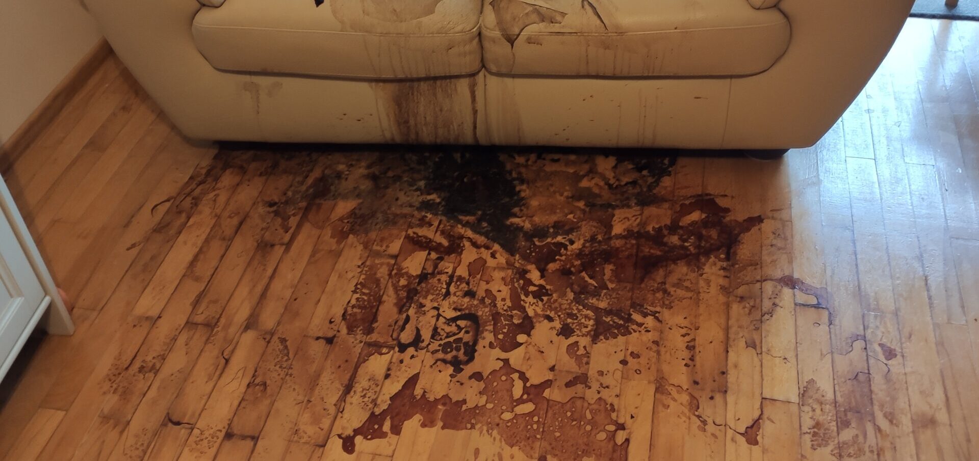 Największe wyzwania w&nbsp;sprzątaniu po&nbsp;zgonach – jak je&nbsp;pokonać?